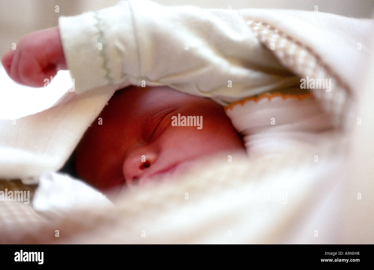 La Pologne, nouveau-né (0-3 mois) dormir dans une couverture, close-up Banque D'Images