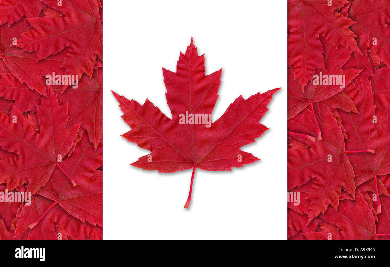 Drapeau canadien faite avec des feuilles d'érable rouge Banque D'Images