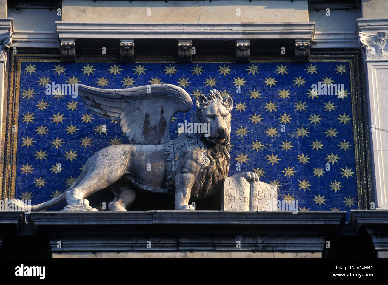 Sculpture de lion ailé sur la Piazza San Marco à Venise | Photo Premium