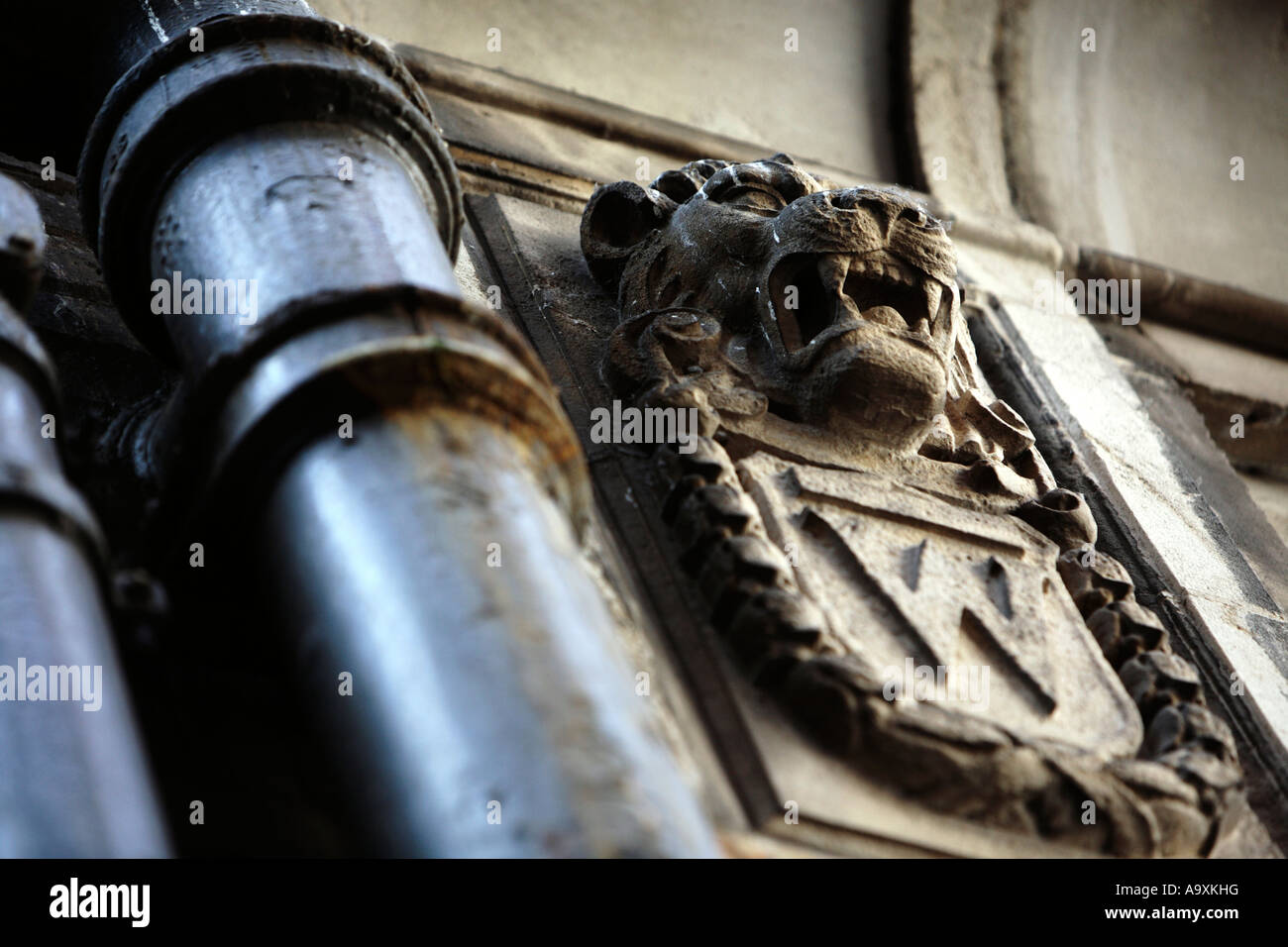 Gargouille Banque D'Images