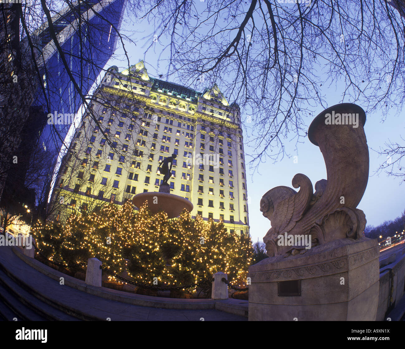 Les lumières DES ARBRES DE NOËL FONTAINE PLAZA HOTEL PULITZER, Cinquième avenue MANHATTAN NEW YORK USA Banque D'Images