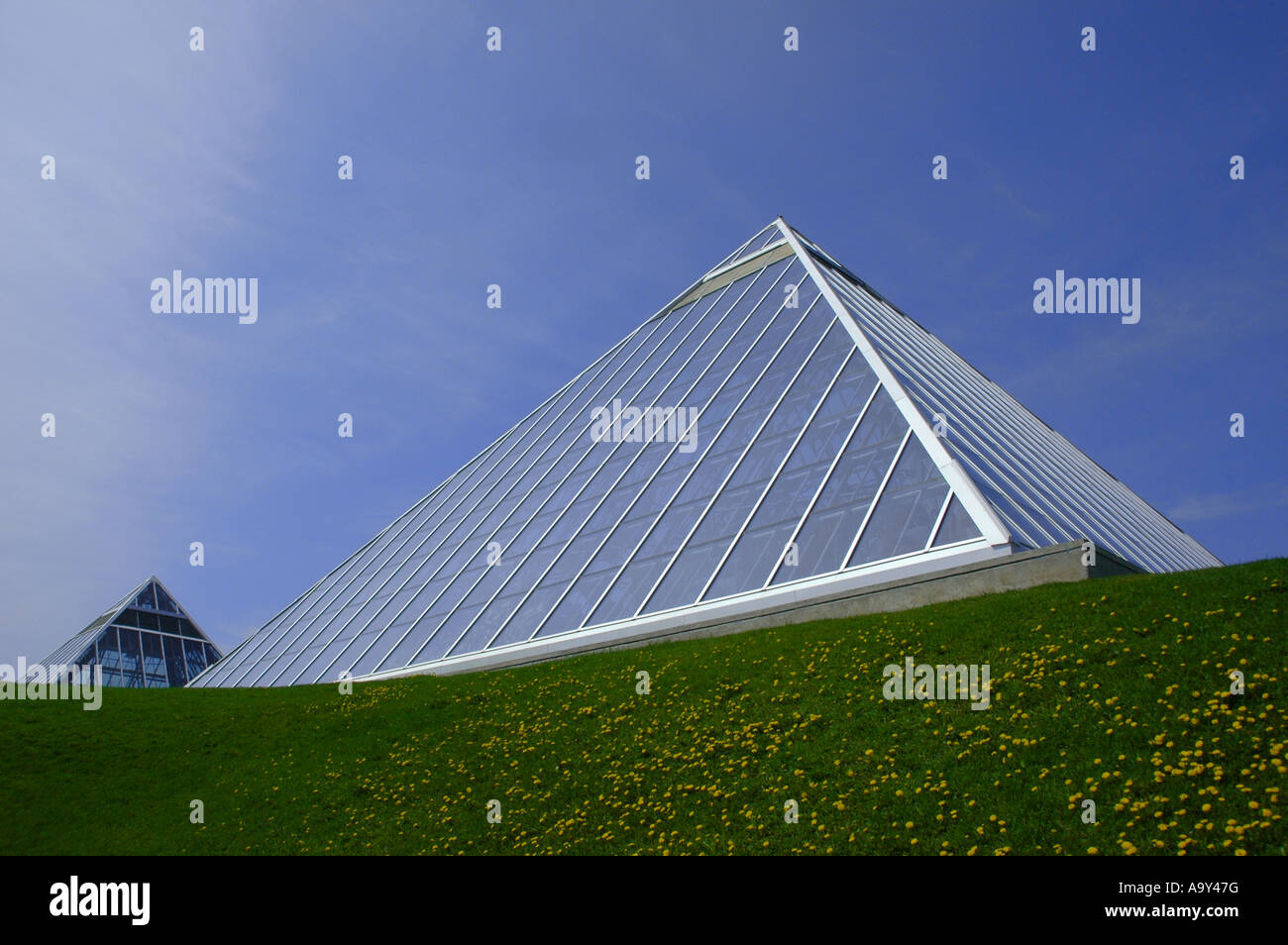 Muttart Conservatory la serre en forme de pyramide à Edmonton Alberta Canada Banque D'Images