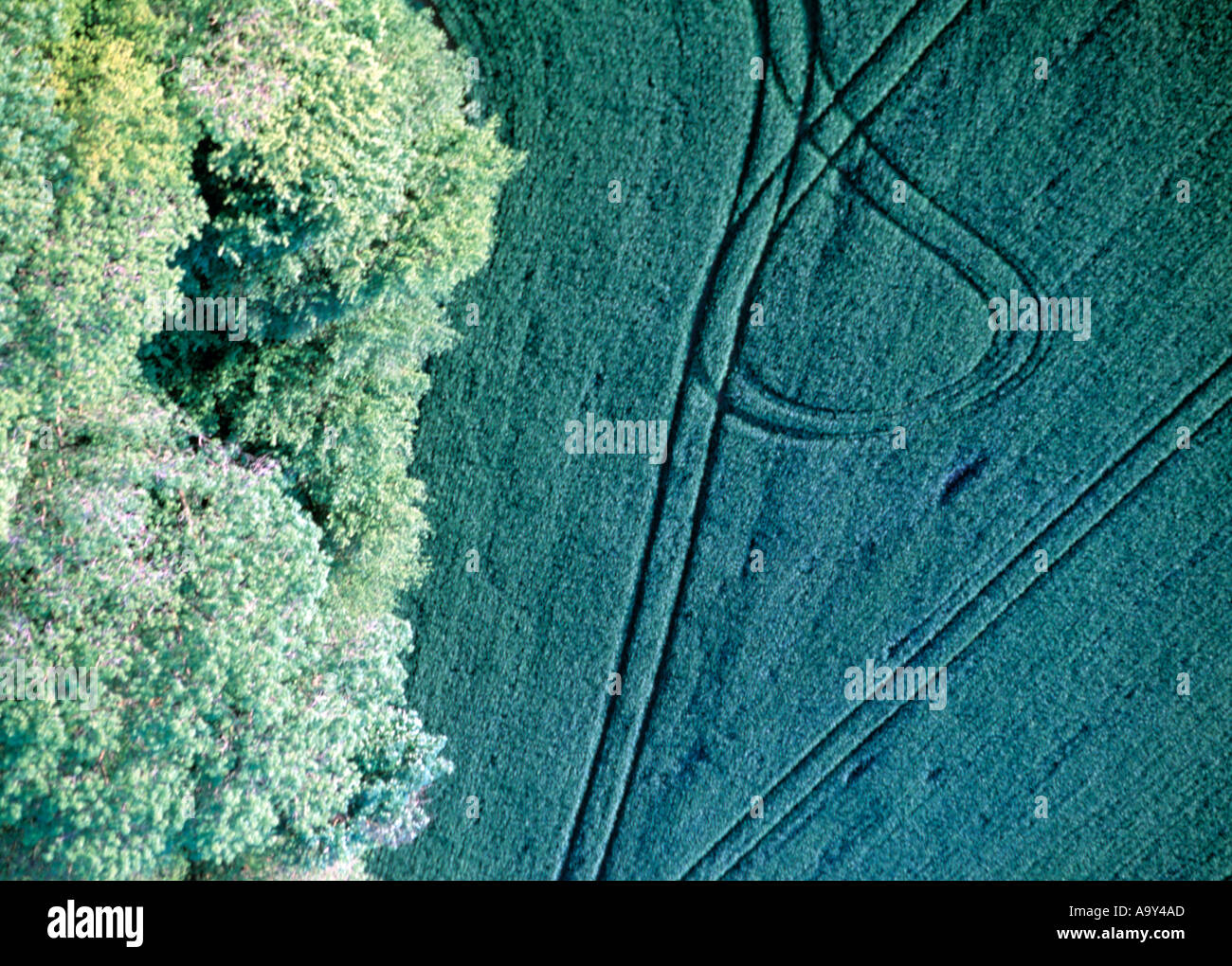 Avec traces de vert au-dessus de champ Banque D'Images