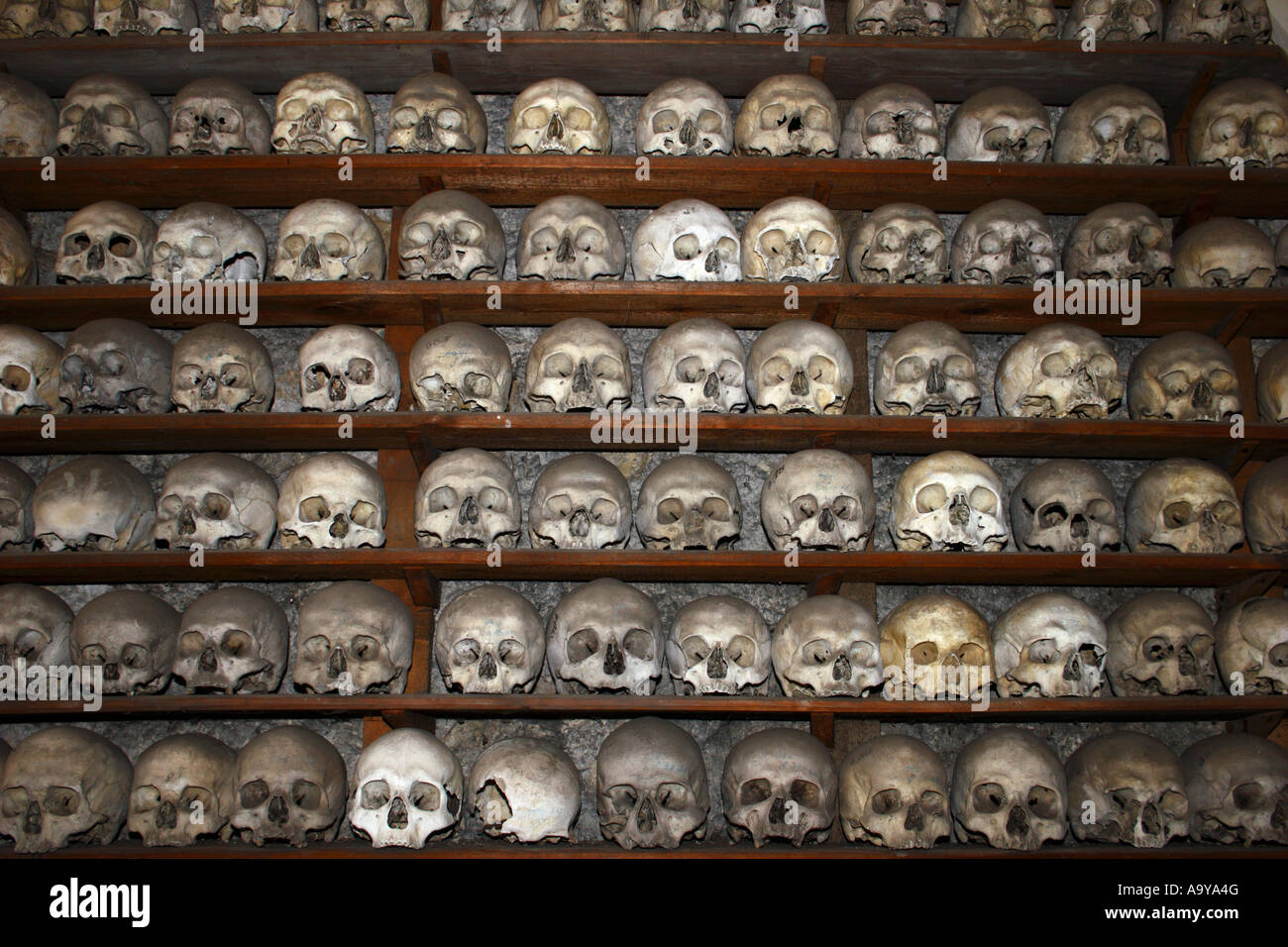 Des crânes humains à St Leonards Church, Hythe, dans le Kent, en Angleterre. Banque D'Images