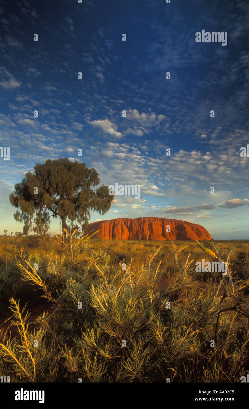 Ayers Rock Uluru Territoires du Nord Australie Banque D'Images