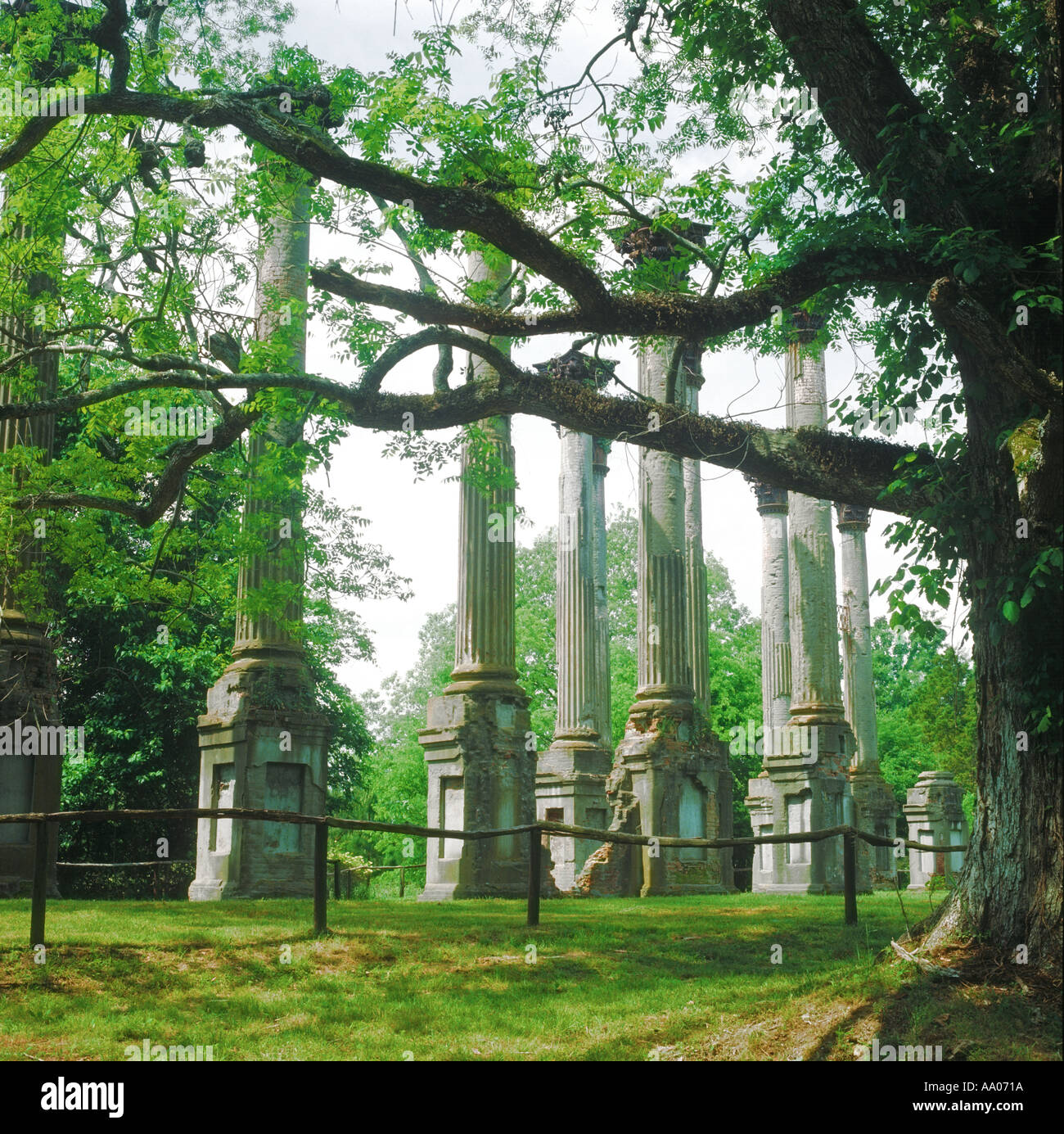 Ruines de Windsor Plantation dans Alcorn Mississippi USA Banque D'Images