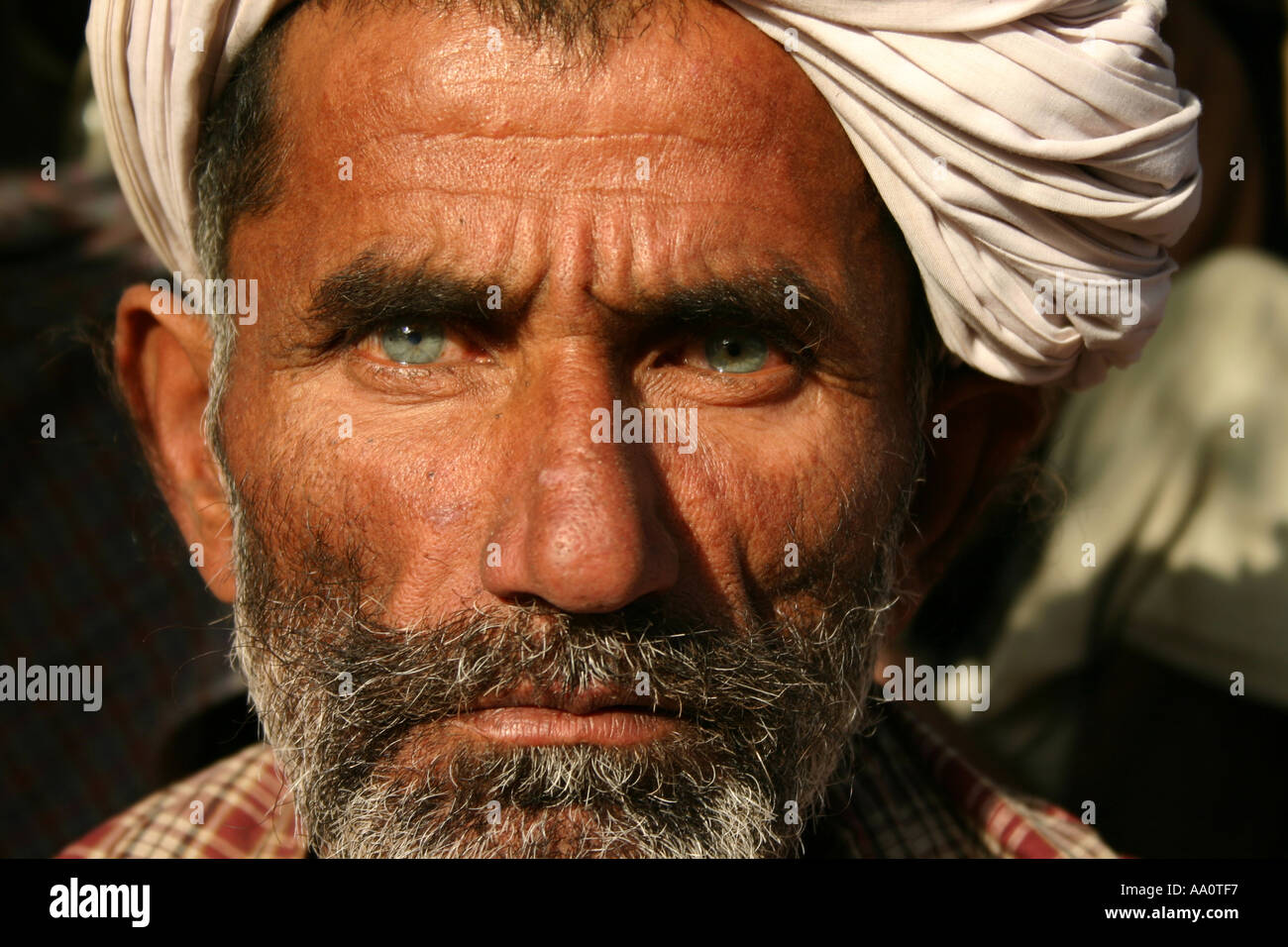 L'homme du Rajasthan avec des yeux d'un bleu profond regarde droit dans l'appareil photo Banque D'Images