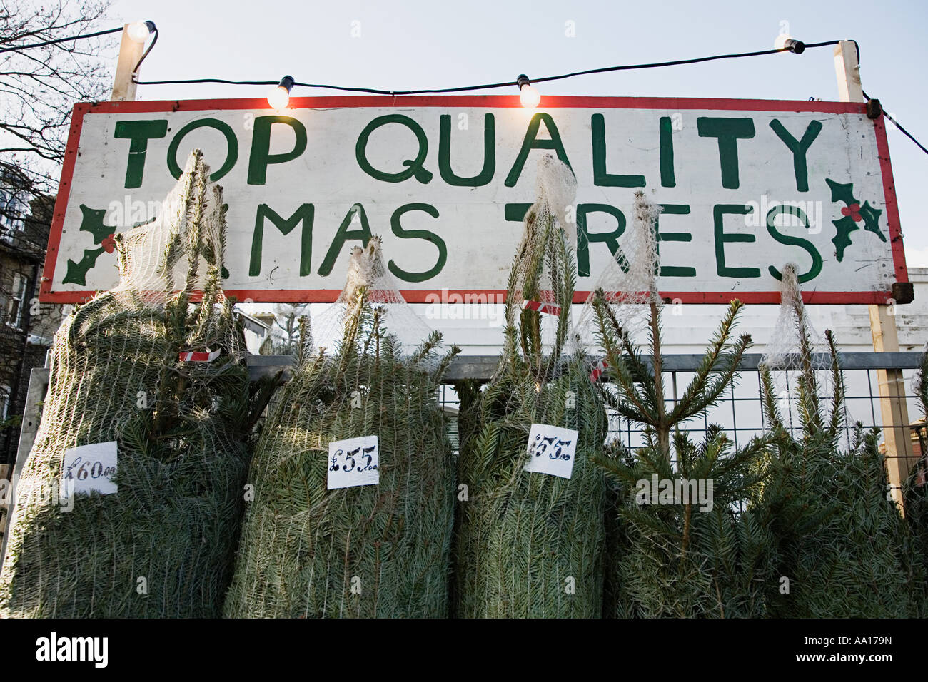 Les arbres de Noël à vendre Banque D'Images