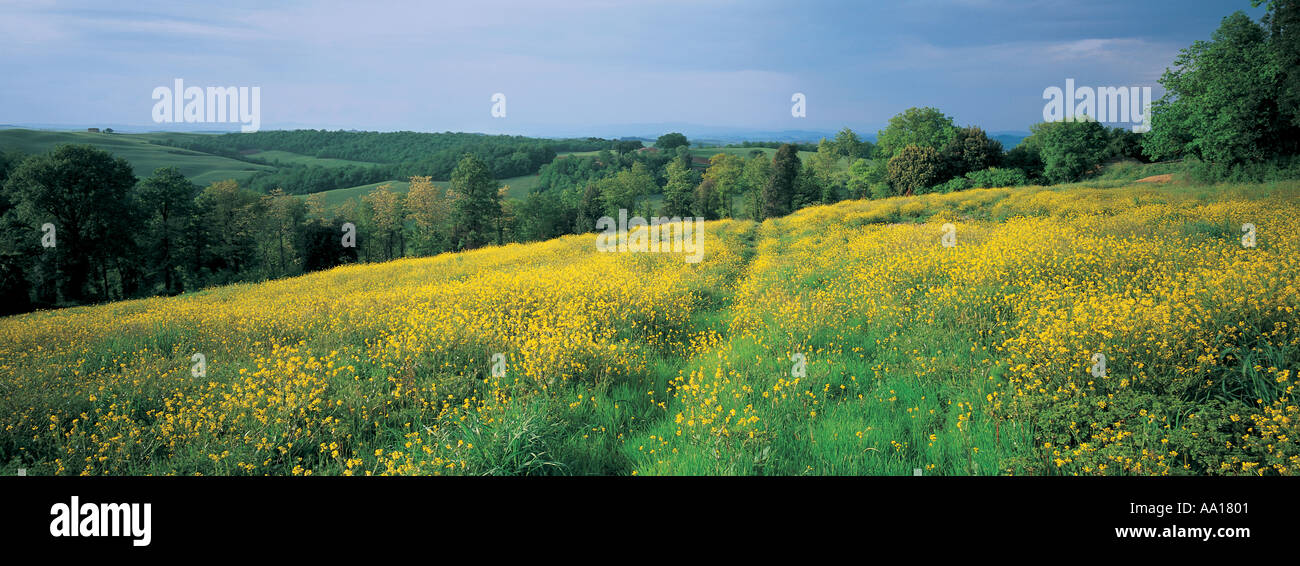 Paysage de Toscane Italie Banque D'Images