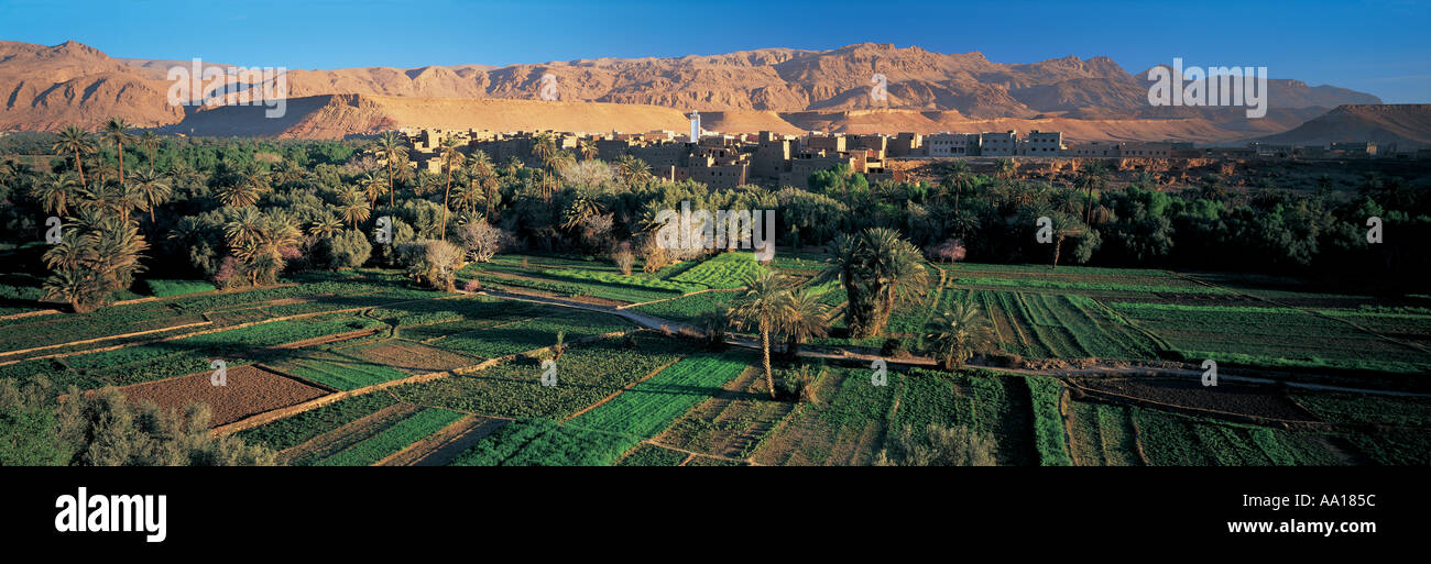 Paysage du village de Tinerhir Maroc Banque D'Images