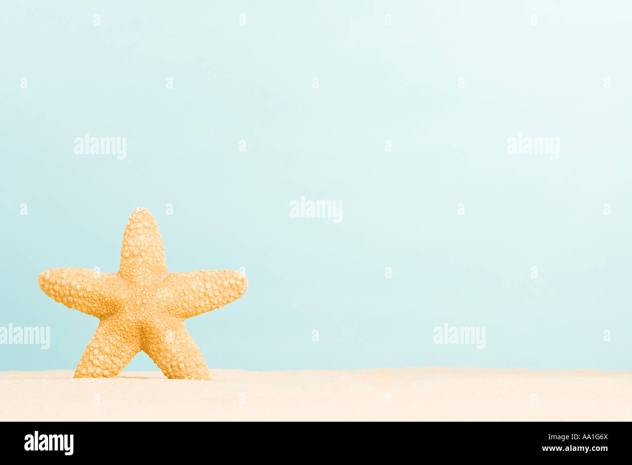 Les étoiles dans le sable Banque D'Images