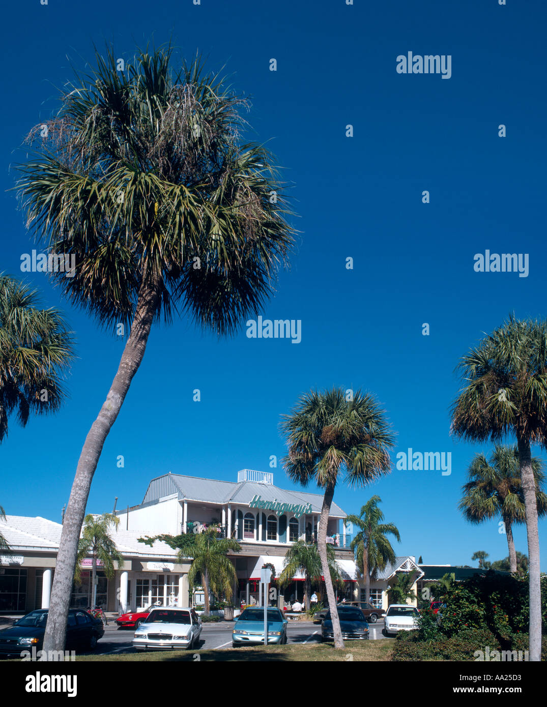 St Armand's Circle, Lido Key, Sarasota, Floride, USA Banque D'Images St Armand's Circle, Lido Key, Sarasota, Floride, USA Banque D'Images