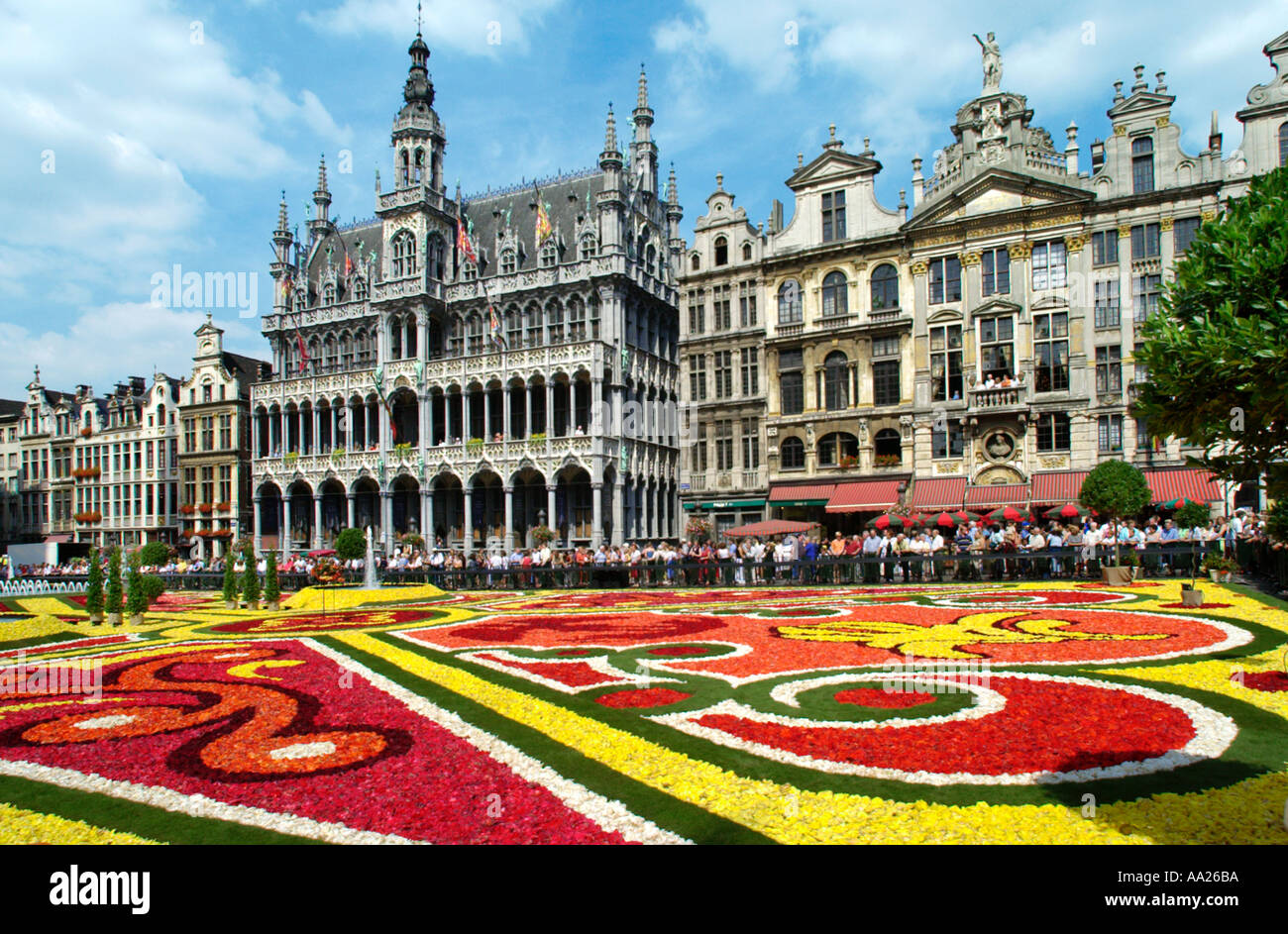 Tapis de fleurs à la Grand Place (place principale), Bruxelles, Belgique Banque D'Images