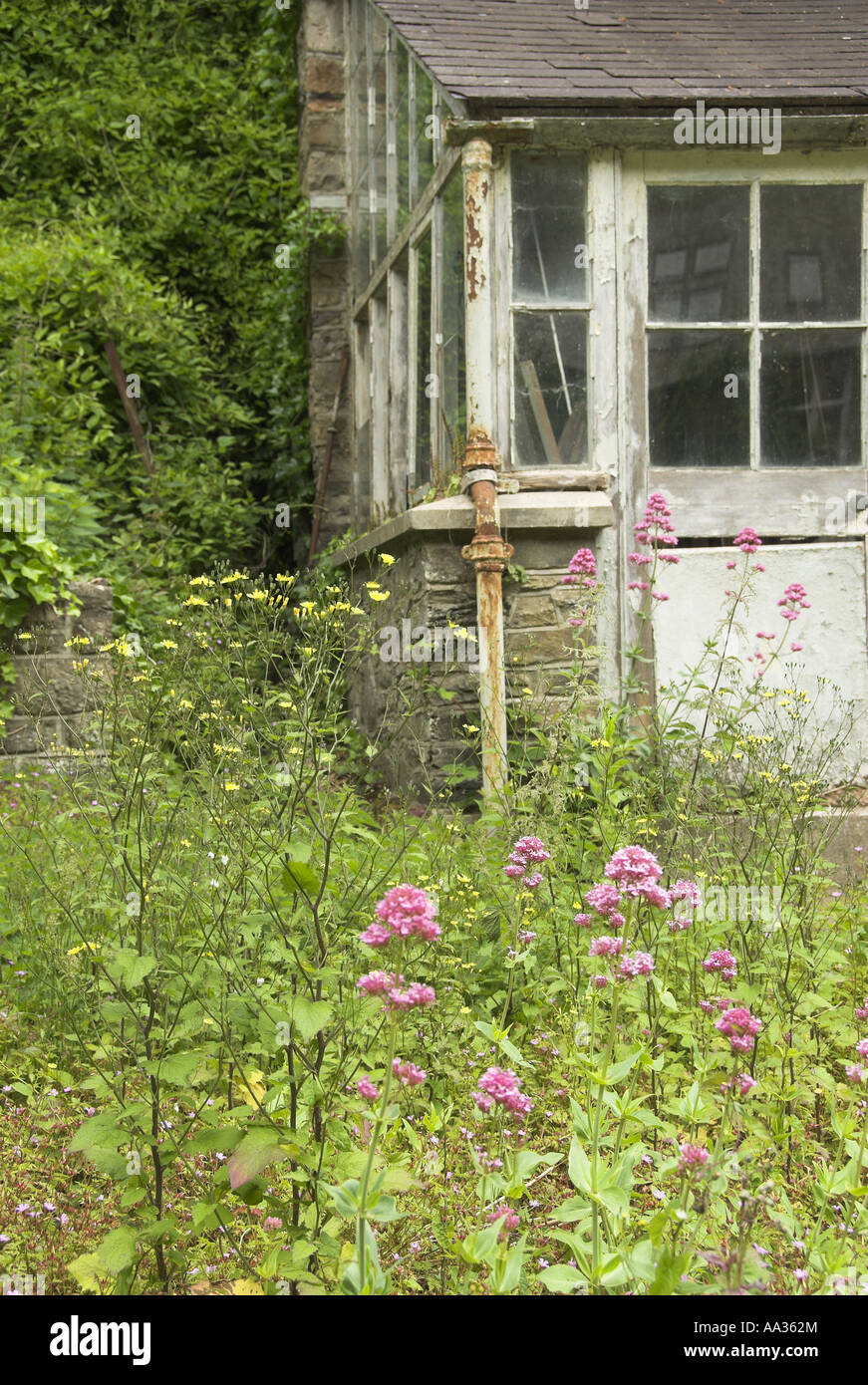 Le jardin luxuriant avec véranda traditionnelle dans un jardin anglais UK Banque D'Images