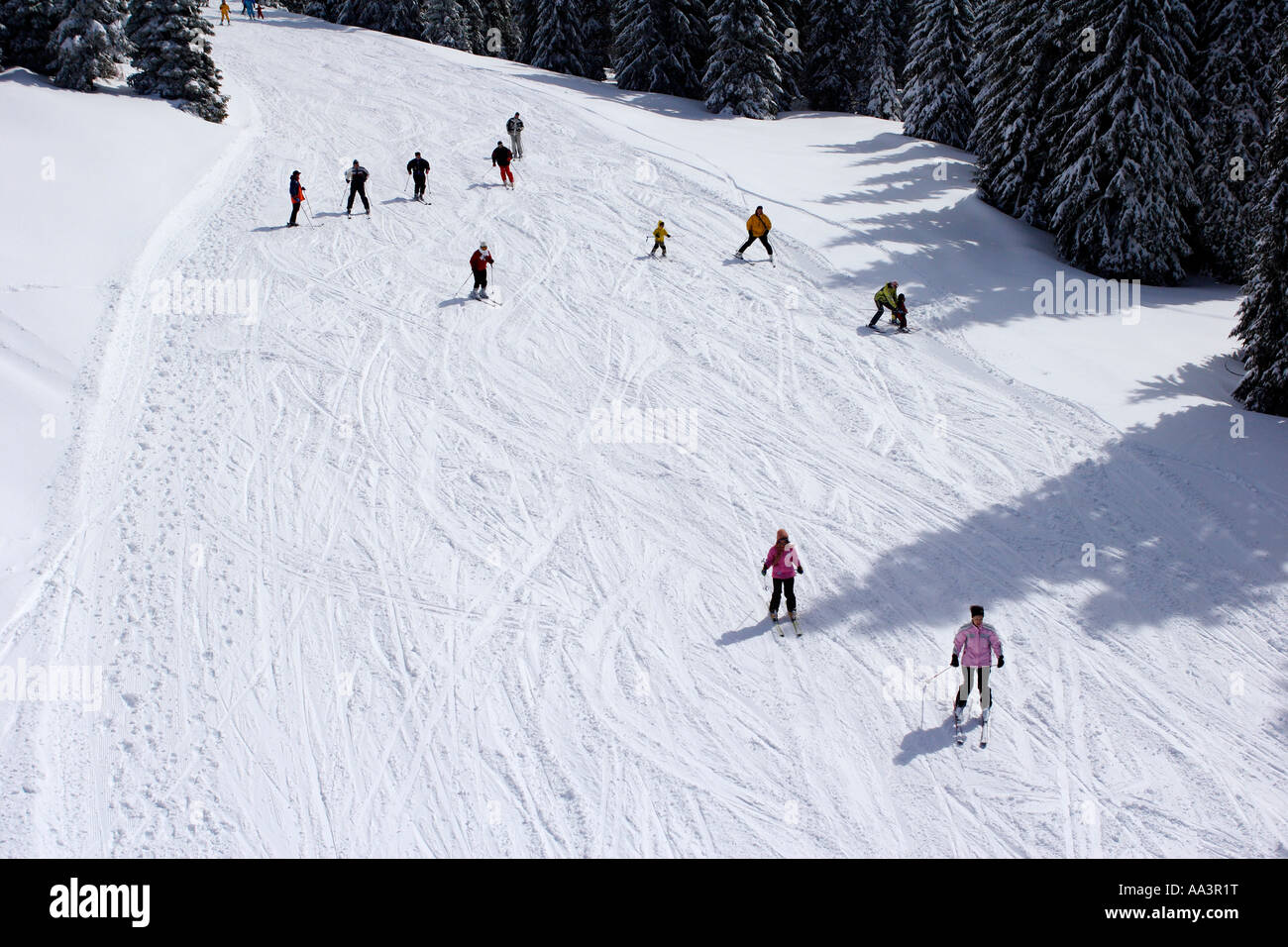 Skieurs sur une piste de ski, Kopaonik, Serbie Banque D'Images