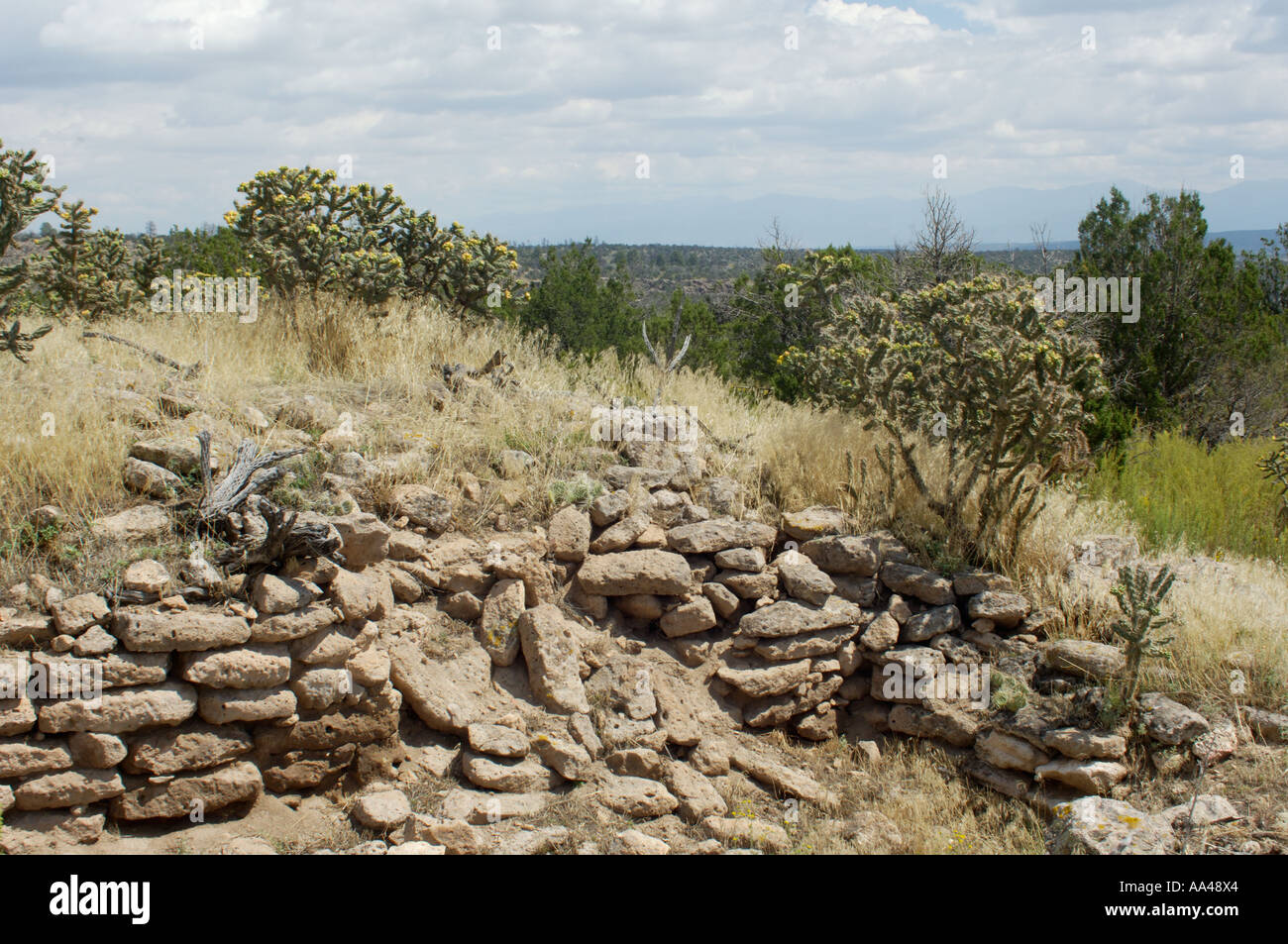 Yapashi non excavés Pueblo ruines Anasazi dans l'arrière-pays de Bandelier National Monument Nouveau Mexique. Photographie numérique Banque D'Images