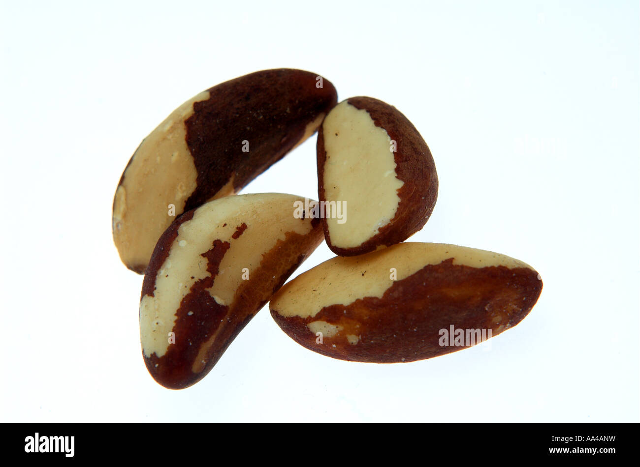 Quatre noix noix du Brésil Banque D'Images