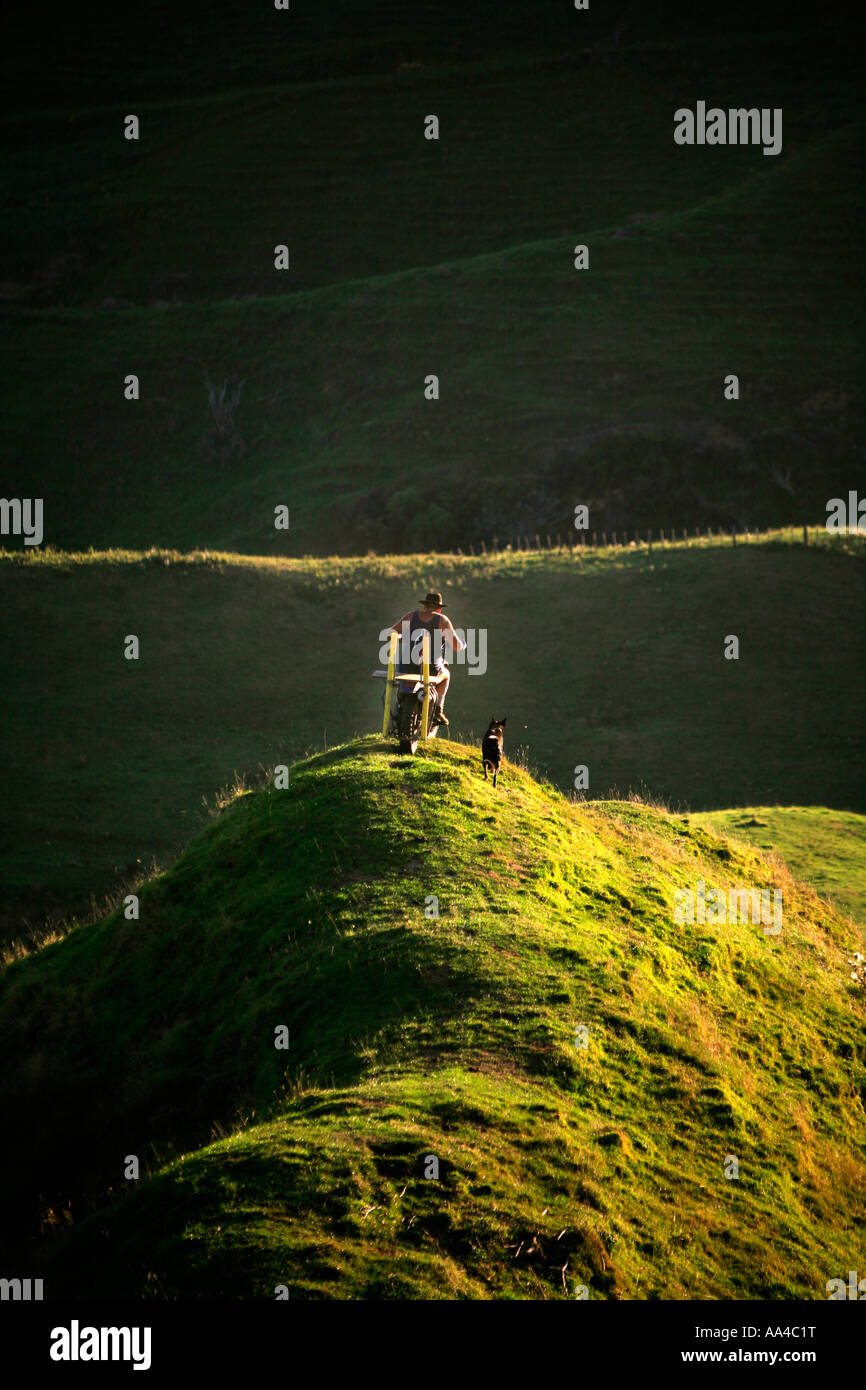 Taranaki farmer Bryan Hocken affiche les compétences nécessaires pour vélo dans la ferme Hill pays Nouvelle-Zélande Banque D'Images