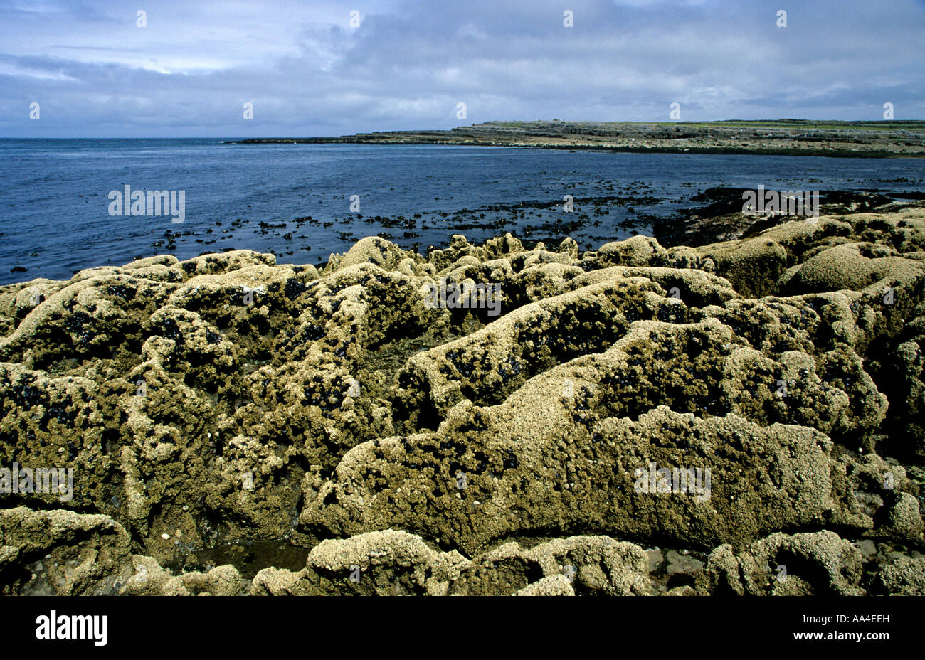 Lapiez du Burren, Irlande Banque D'Images