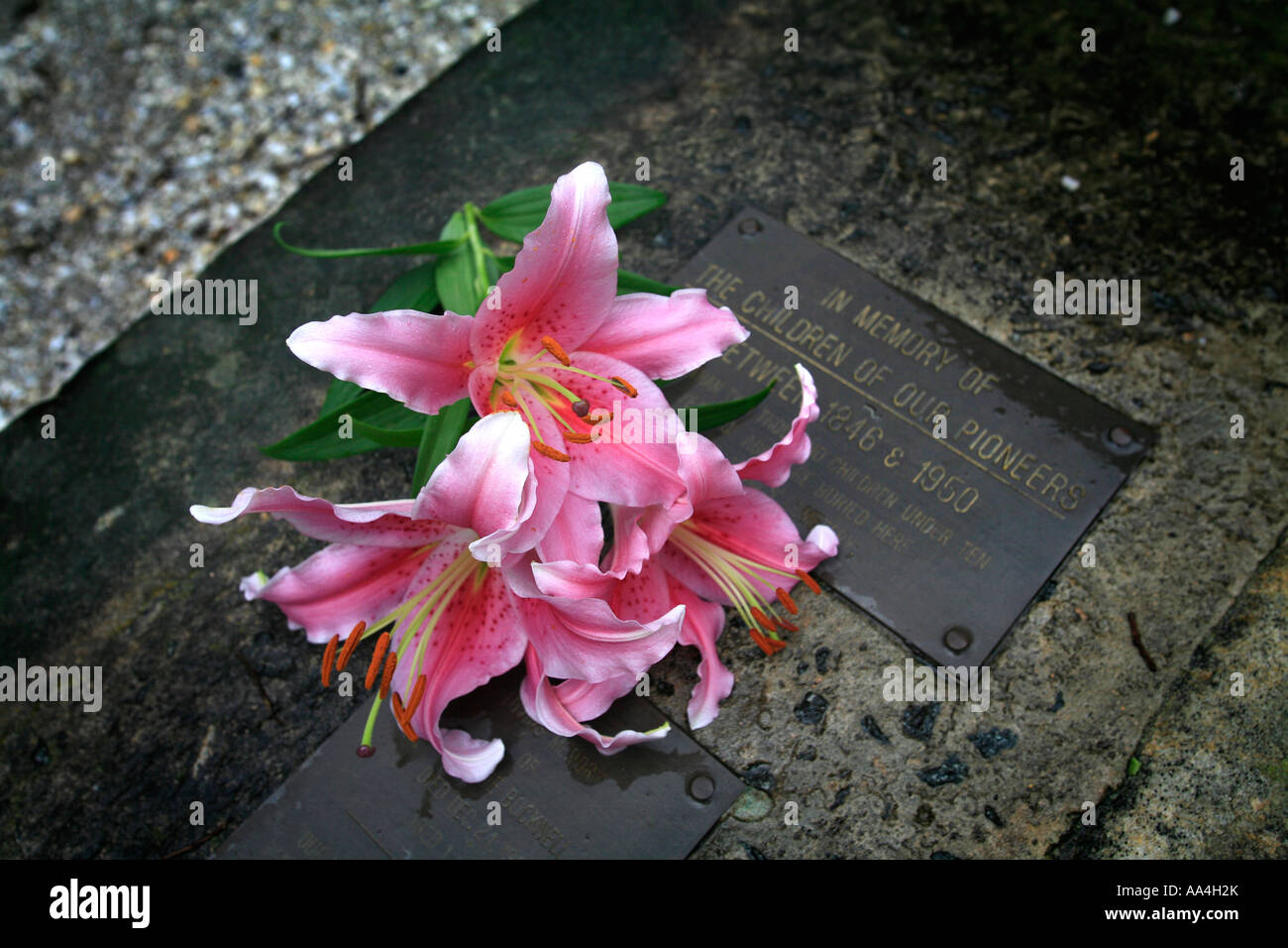 La tombe d'un enfant avec des fleurs Banque D'Images