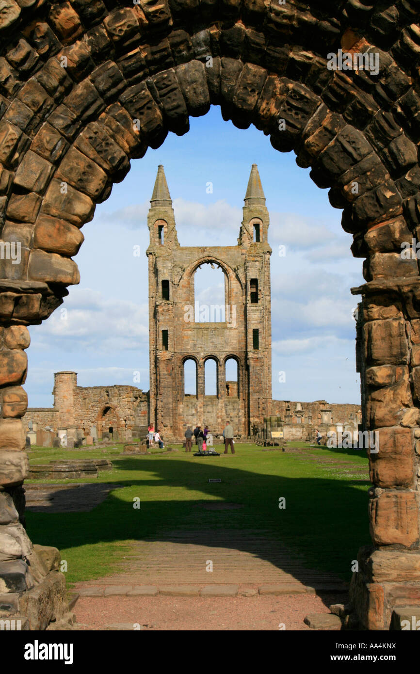 La Cathédrale de St Andrew ruines à St Andrews, Fife, Scotland uk go Banque D'Images