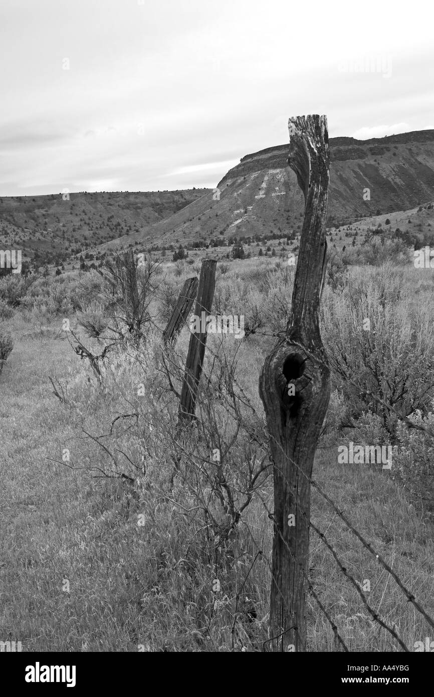 Ancienne ligne de clôture dans le centre de l'Oregon Banque D'Images