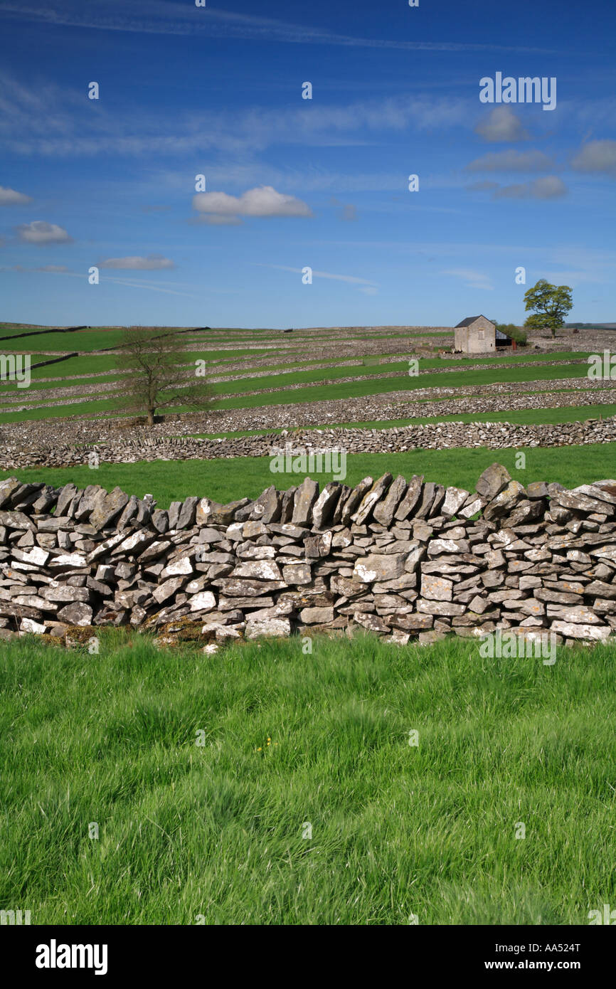 Système de domaine, Litton, Derbyshire, Peak District National Park, Angleterre, Royaume-Uni. Banque D'Images