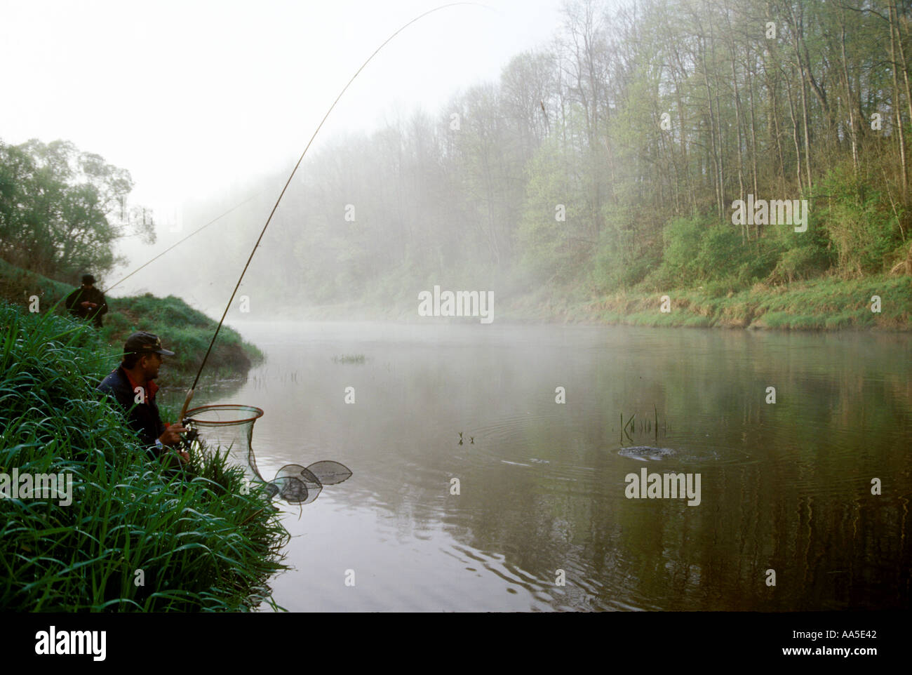 Un pêcheur l'atterrissage près de la rivière Sesupe chub, Lituanie Banque D'Images