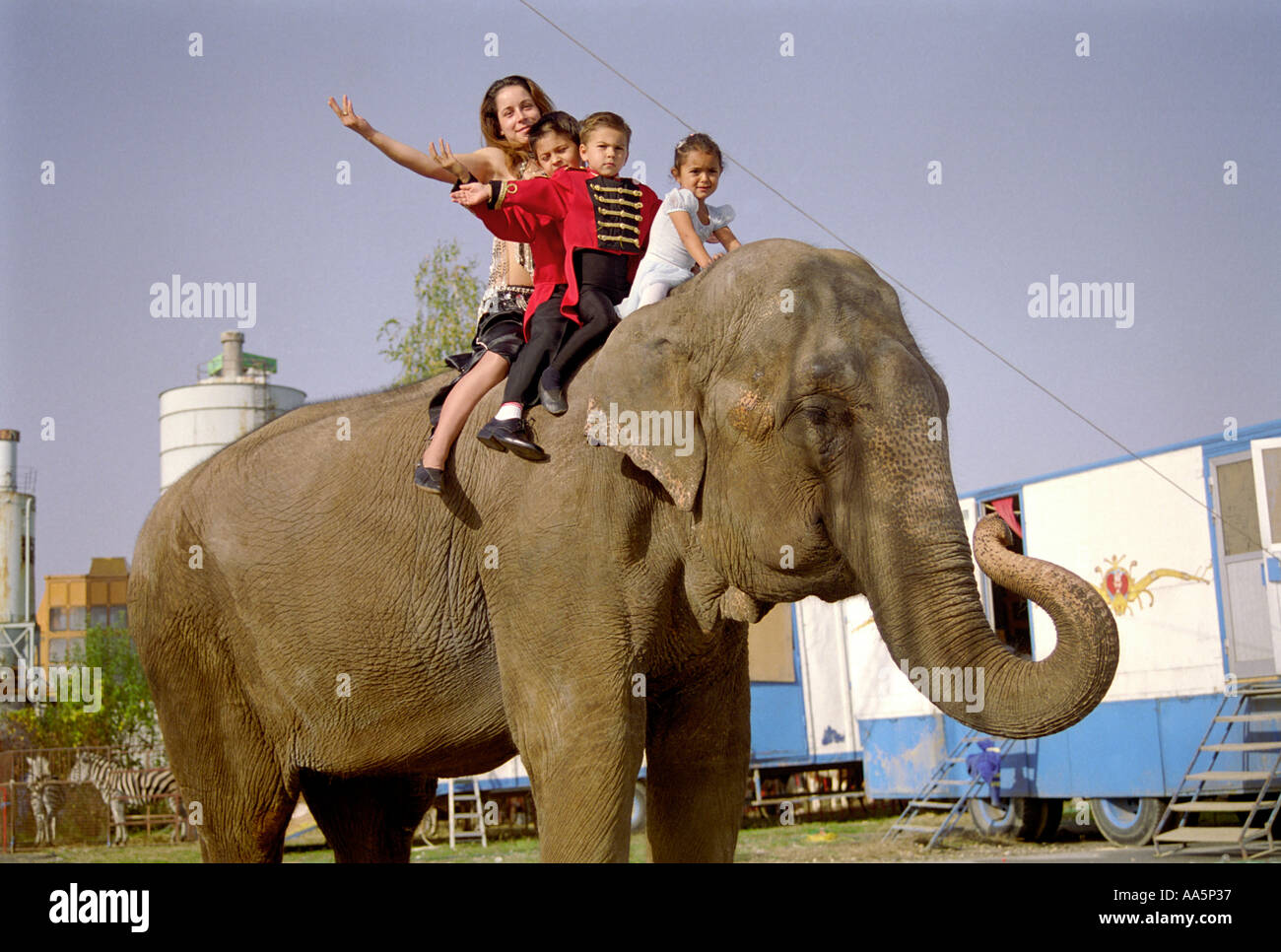 Les enfants en cirque sur elephant Banque D'Images