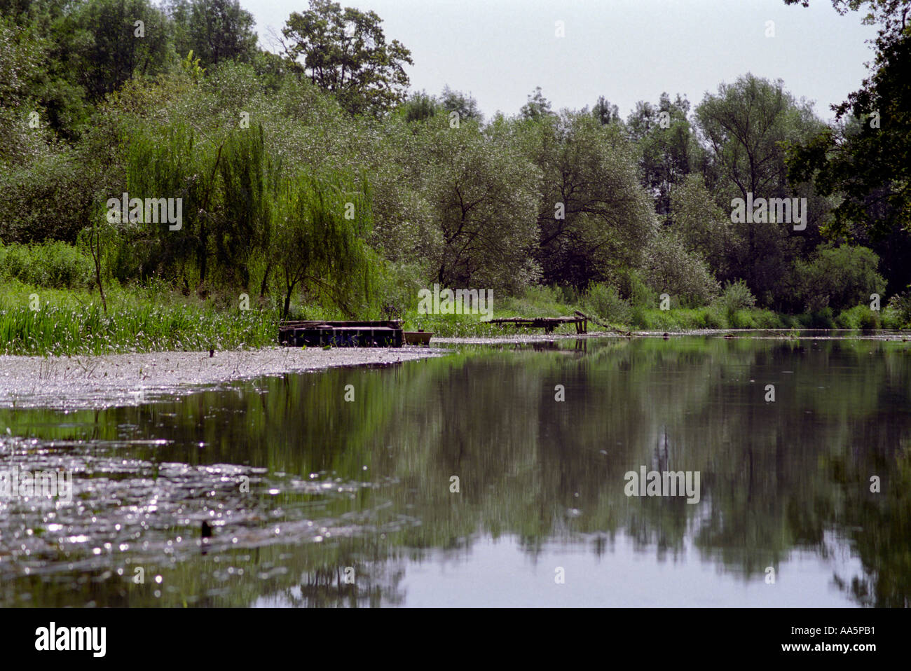 La belle rivière banques dans la verdure et les fleurs Banque D'Images