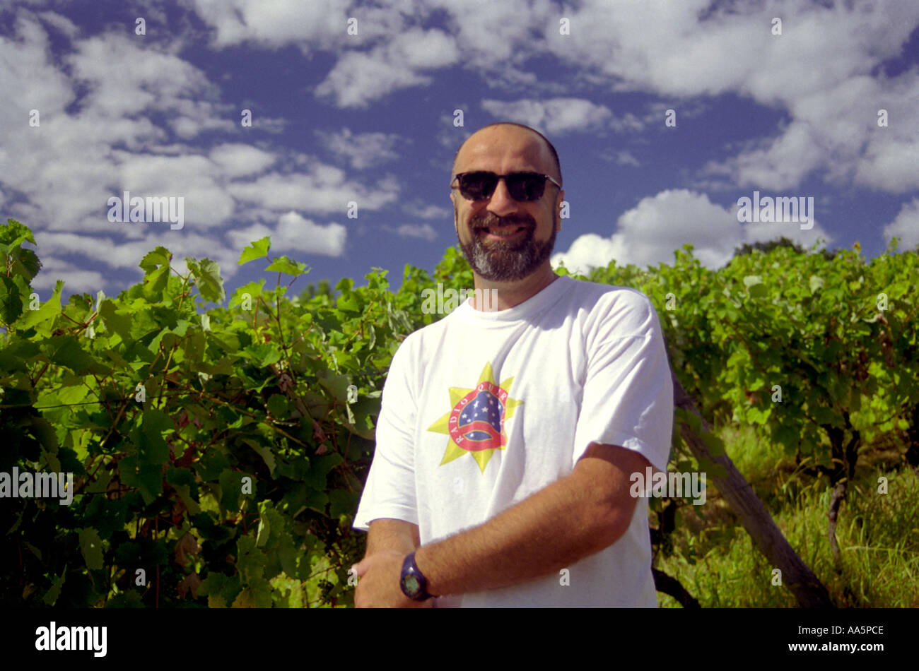 Les hommes est présente dans le ciel bleu du vignoble avec des nuages blancs Croatie Banque D'Images