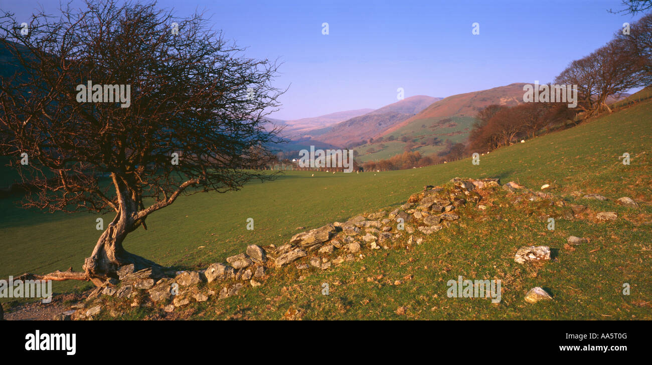 LLanfihangel Fanion Y Fon Dysynni Cadair Idris Cadir Vallée de galles Snowdonia Banque D'Images