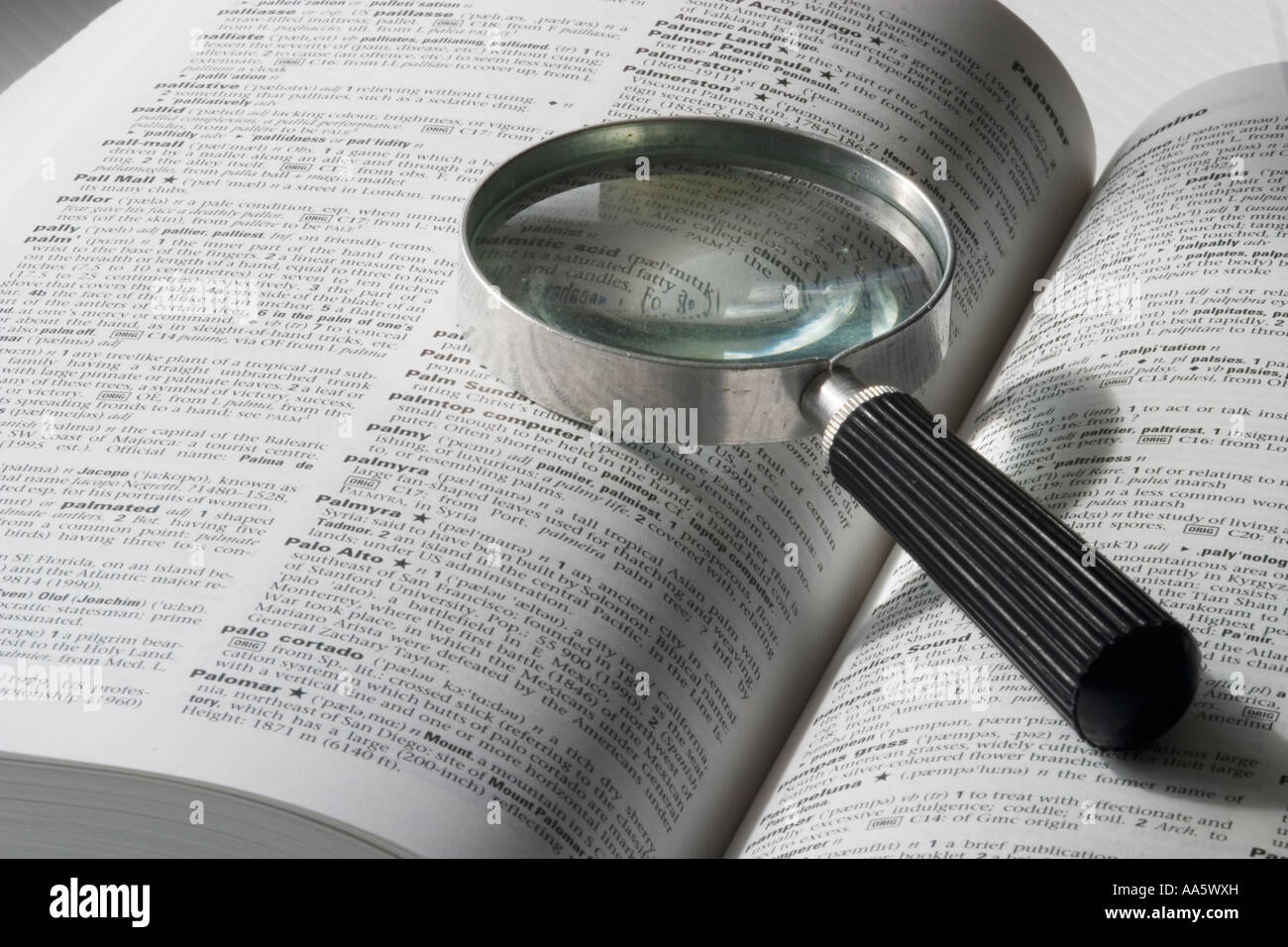 Une Image En Noir Et Blanc D Une Loupe Sur Un Livre Ouvert Photo Stock Alamy Une Image En Noir Et Blanc D Une Loupe Sur Un Livre Ouvert Photo Stock Alamy