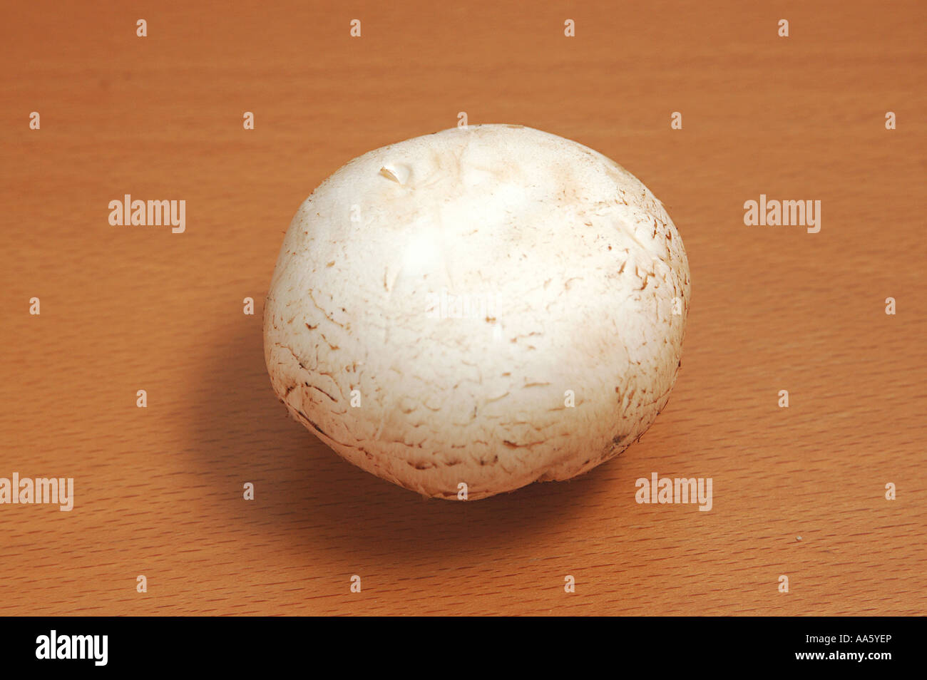 ANG103754 blanc Légumes champignons bouton haut de forme ronde côté Banque D'Images