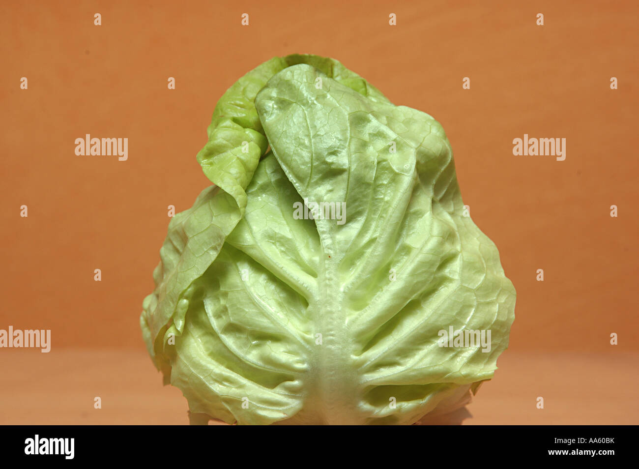 Salade de légumes de chou en jersey de Wakefield Photo Stock - Alamy