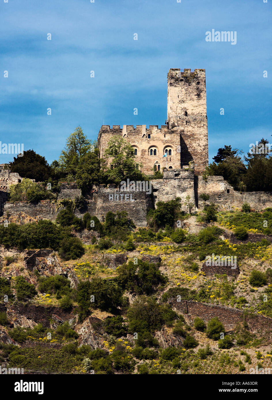 Château Gutenfels près de Kaub Rhénanie Allemagne Europe Banque D'Images