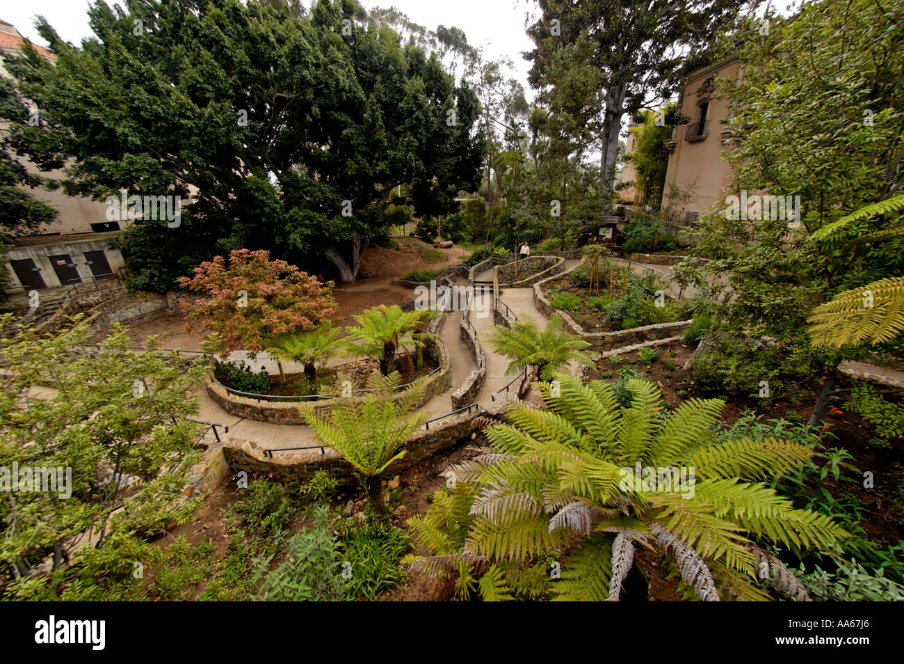 Homme marchant à travers les jardins de Zoro dans le Balboa Park, San Diego, California USA Banque D'Images