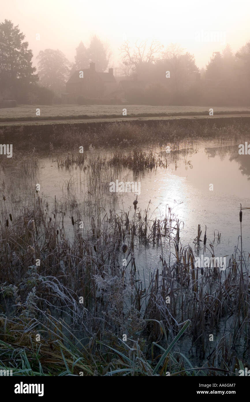 Frosty, un matin d'automne brumeux dans la Severn Vale par un étang sur la place du village à Frampton sur Severn, Gloucestershire Banque D'Images