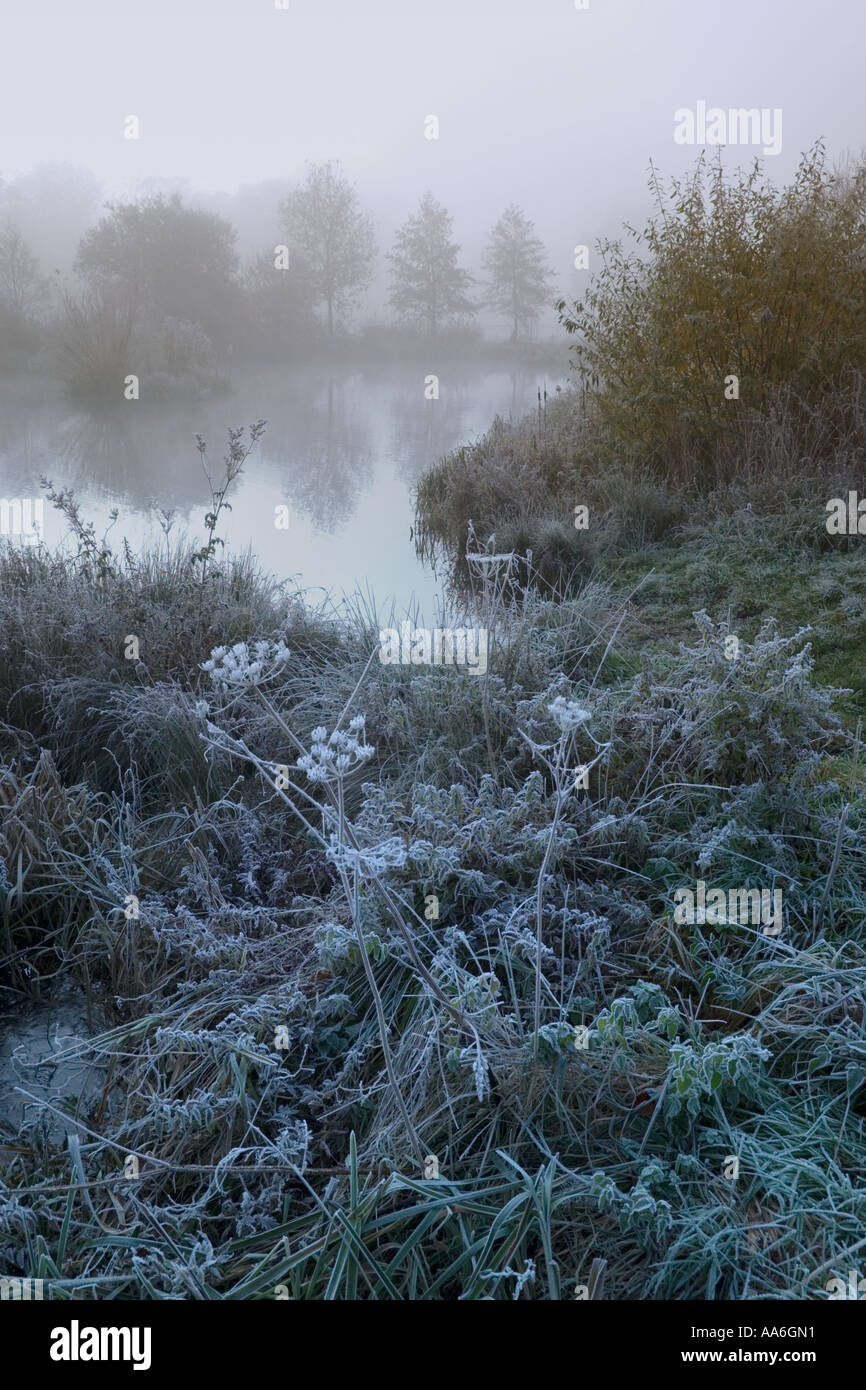 Frosty, un matin d'automne brumeux dans la Severn Vale par un étang sur la place du village à Frampton sur Severn, Gloucestershire Banque D'Images