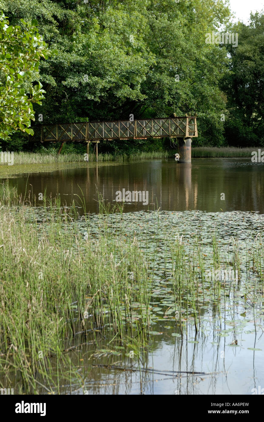 Lac avec Trawscoed jetée de pêche dans l'arrière-plan Banque D'Images
