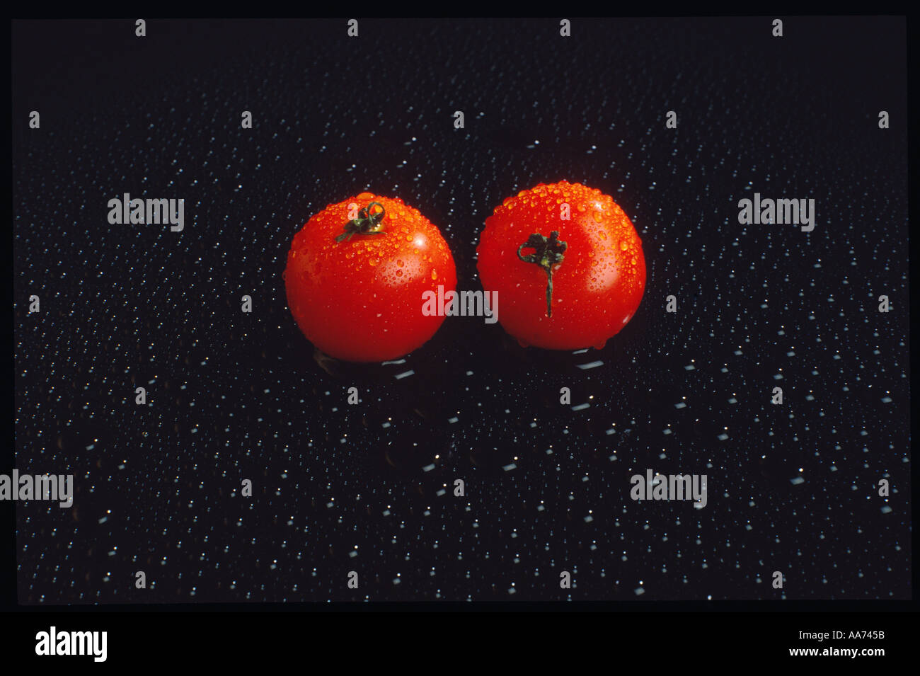 Tomates Tomates deux fruits sur fond noir Banque D'Images