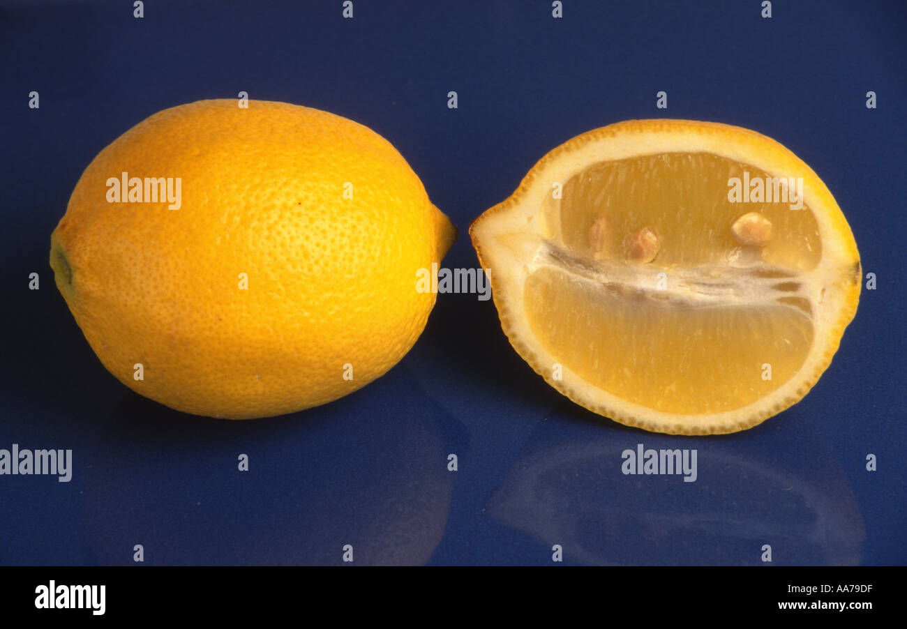Les fruits d'agrumes citrons citron jaune alimentaire acide sulfureux zitrone zitronen Banque D'Images