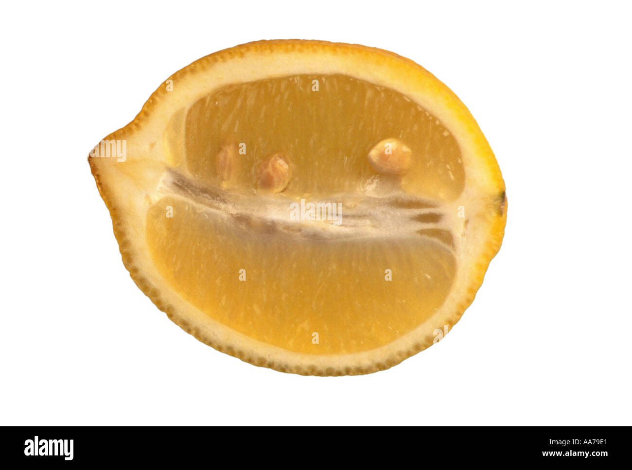 Les fruits d'agrumes citrons citron jaune alimentaire acide sulfureux sur fond blanc zitrone zitronen Banque D'Images