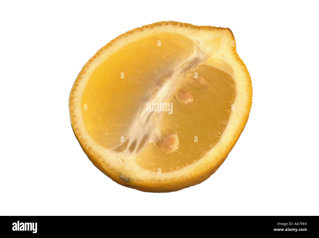Les fruits d'agrumes citrons citron jaune alimentaire acide sulfureux sur fond blanc zitrone Banque D'Images