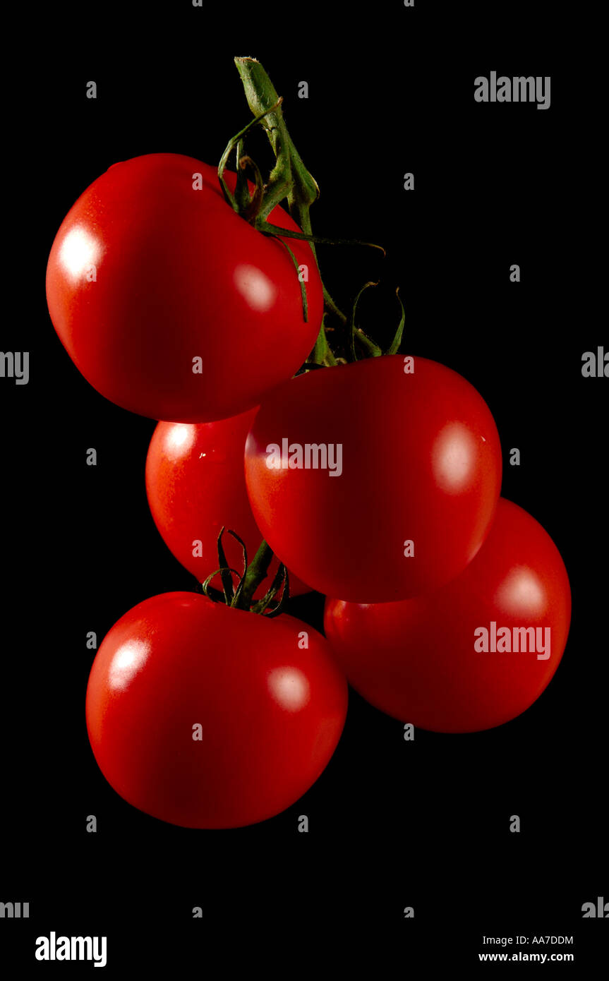Tomates sur une vigne Banque D'Images