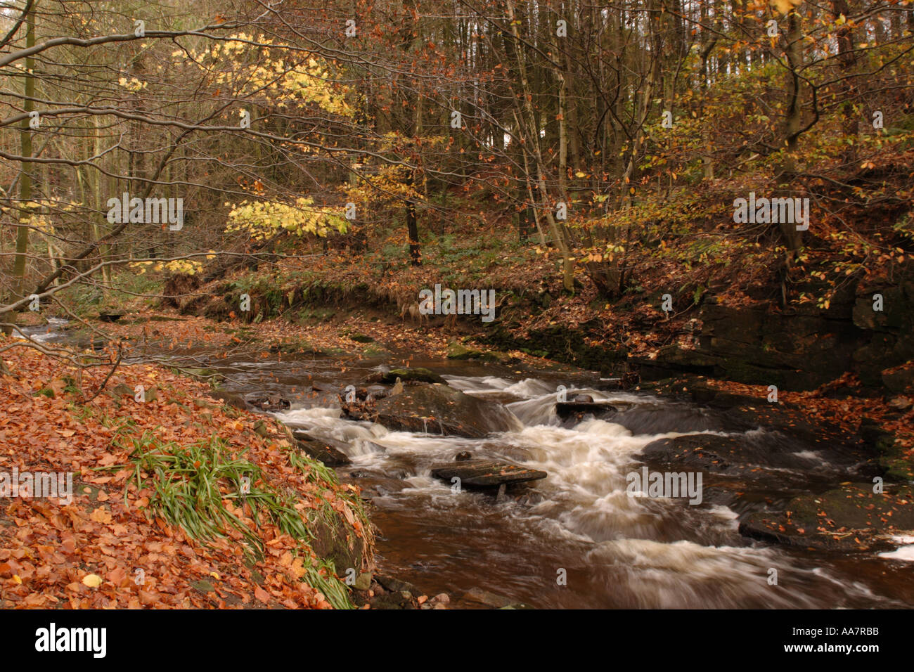 Dane la rivière dans le peak district Derbyshire UK Cheshire Banque D'Images