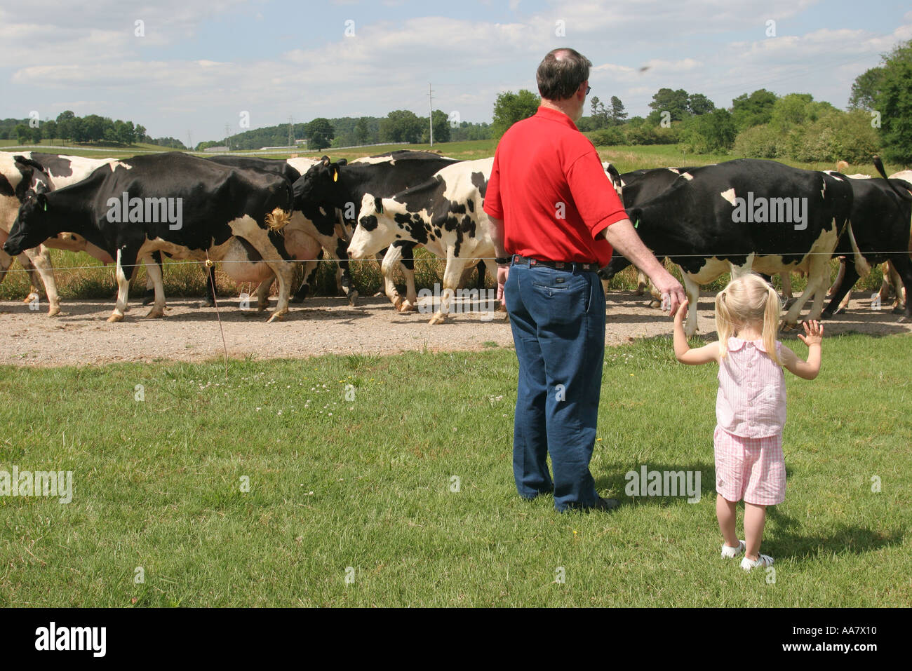 Alabama Alexandria,Wright ferme laitière,agriculture,agriculture,agriculture,élevage,rural,campagne,campagne,vache laitière,retour de pâturage,filles,yo Banque D'Images