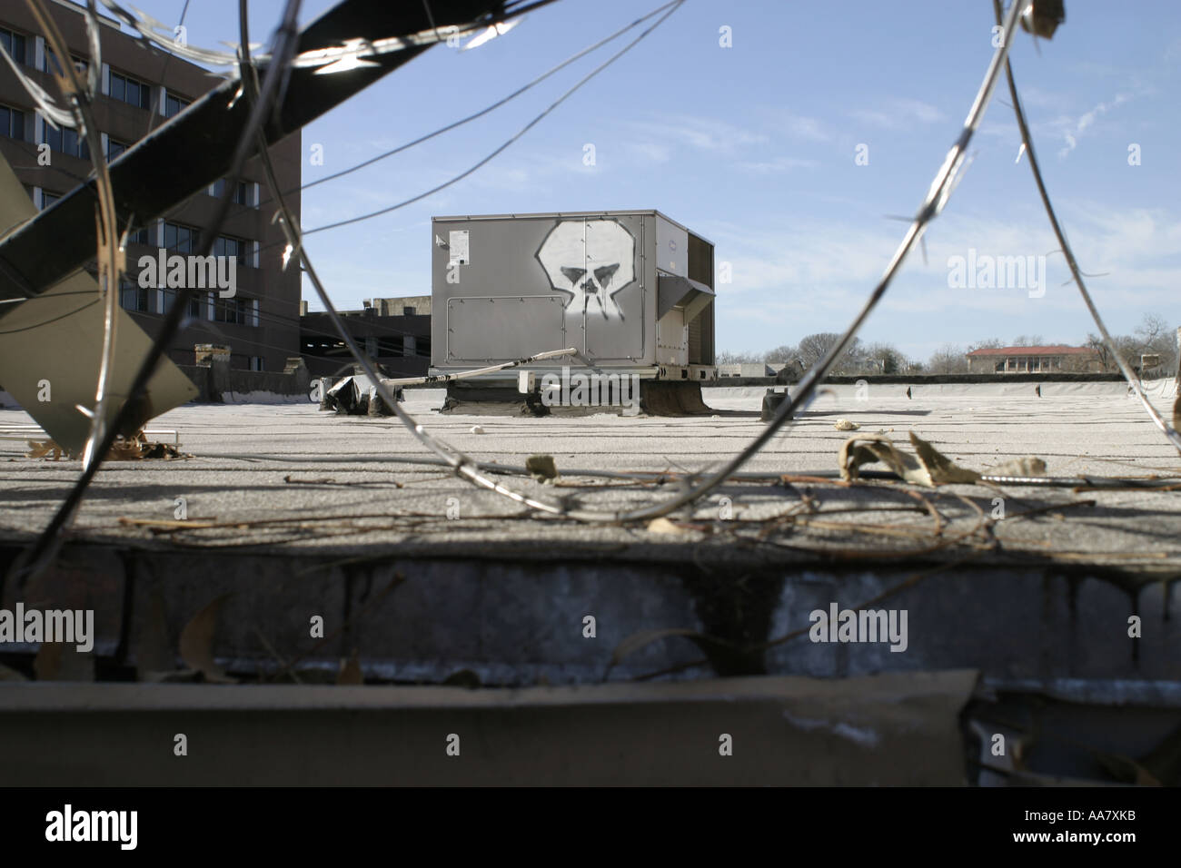 Skull graffiti art fixe de derrière des barbelés Banque D'Images