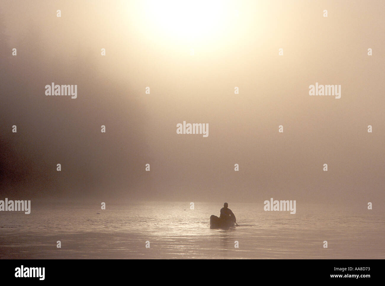 Un canot glisse à travers le brouillard et la brume d'un matin d'été sur la rivière Restigouche, dans le nord du Nouveau-Brunswick, Canada Banque D'Images