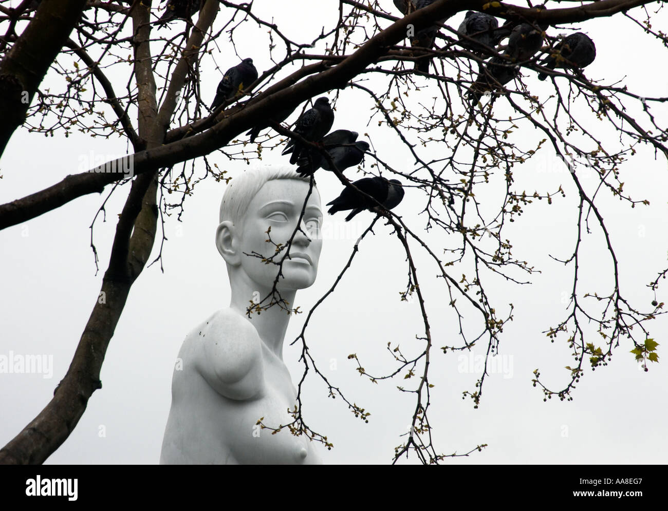 Alison hdb enceinte une statue de Marc Quinn à Trafalgar Square Banque D'Images